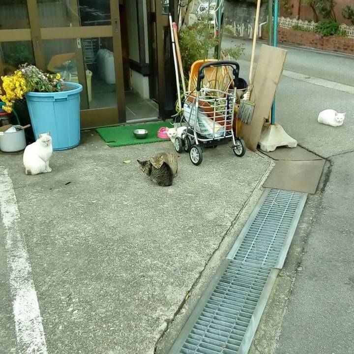 7d5b4982 862a 4498 96e3 6f905f710426 1545568108283