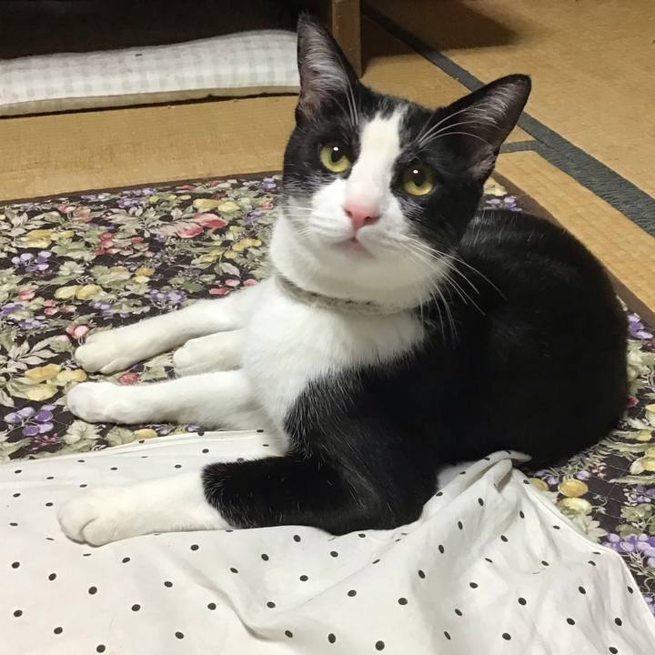 7d5b4a08 cf0f 4369 a3d4 8df790e508ea 1656154557676