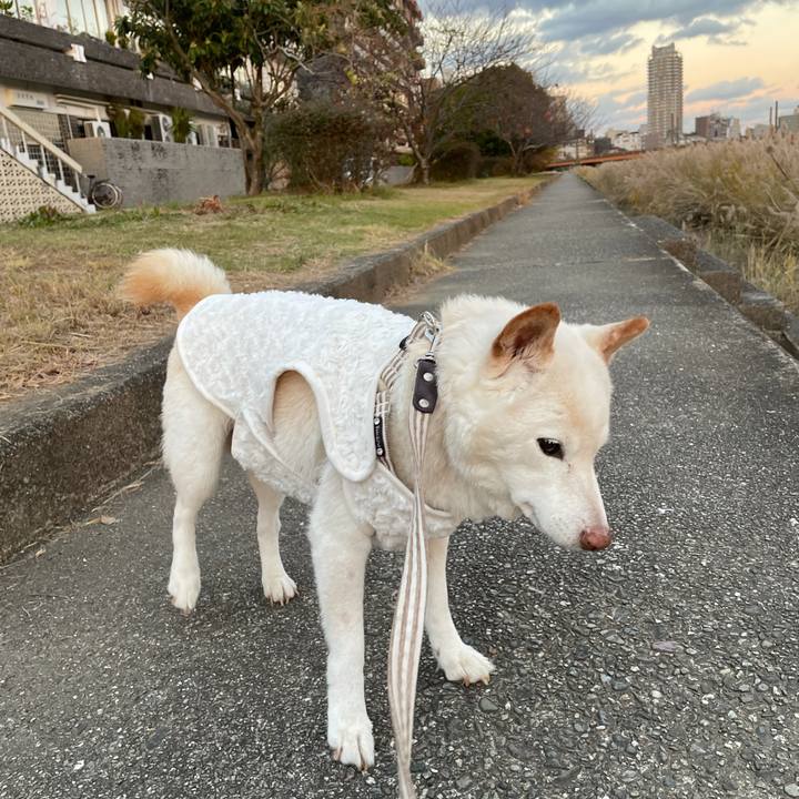 7d5b5ff9 51ad 4152 baf5 362e72ee93bc 1638017167489