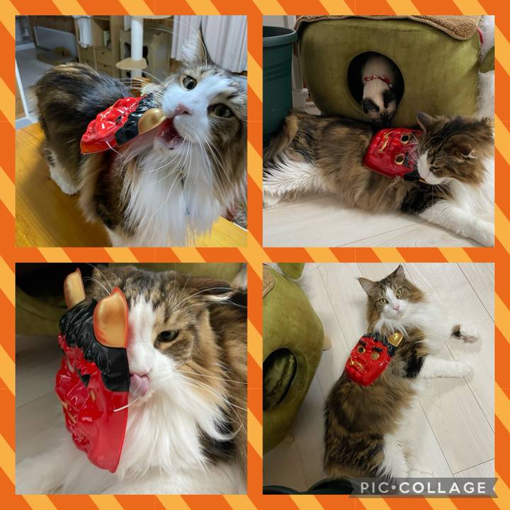 7d5b77fd 8149 47c0 9b91 6ff3de362566 1706962242199