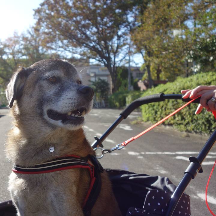 7d5bc20d d0f6 4235 b2a2 92fae2284ca6 1573088823266