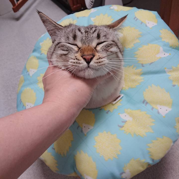 7d5bfad6 f36c 4558 a2be c6261459ff1c 1562772995496