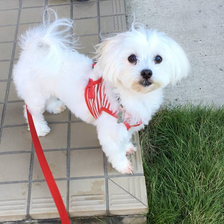 7d5c0da7 faa3 4622 a316 5915b90a4d72 1540861501092