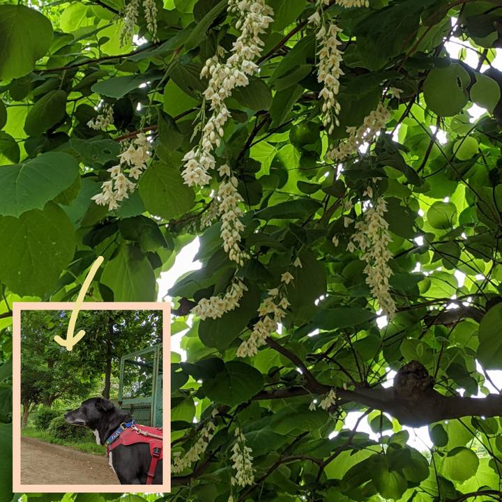 7d5c6167 8d24 4bd9 9786 0a2e39ba7a10 1682386599255