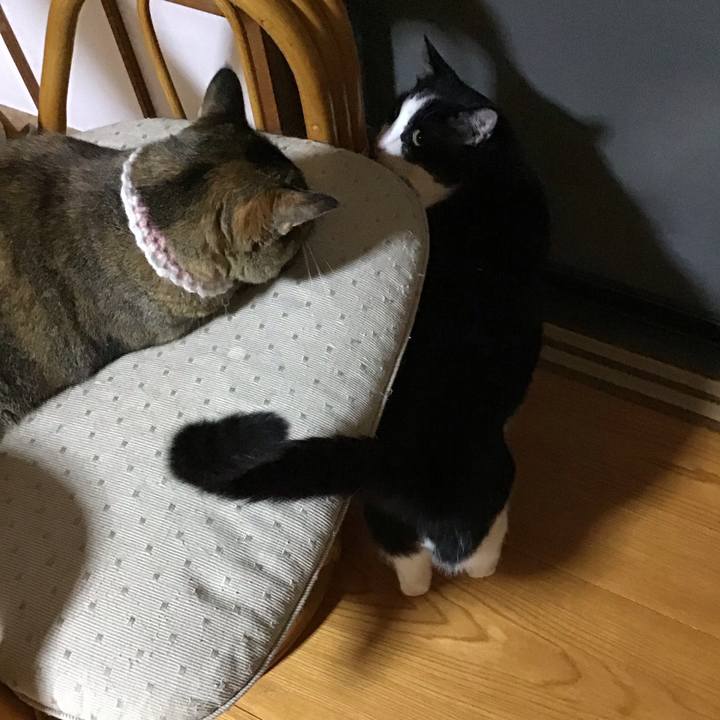 7d5c7095 5335 4709 960b ed579db53024 1754999415854