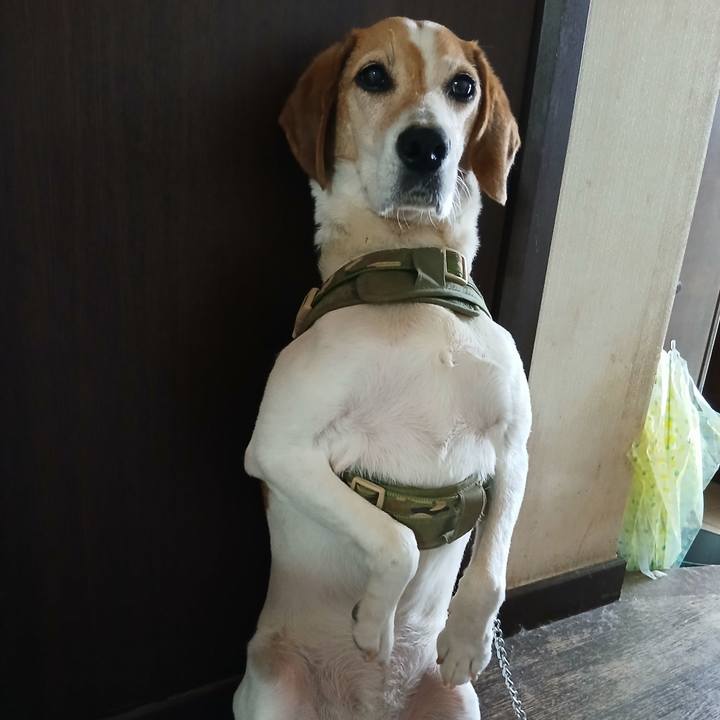 7d5ca0c8 d23a 4e79 a518 591b2f5fca34 1753273115816