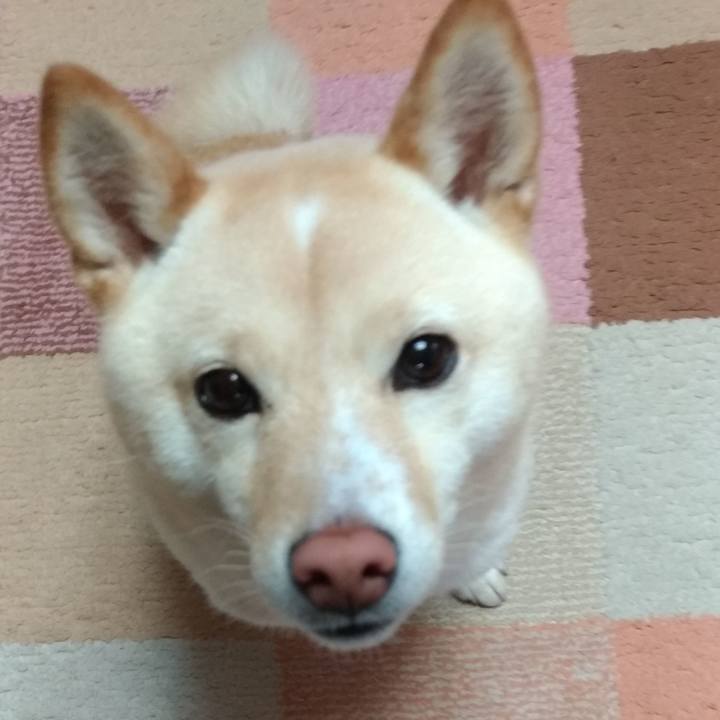 7d5cd9a7 dac5 4114 b3f0 7240af96982c 1583446562756