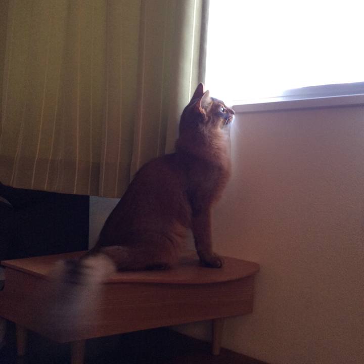 7d5cdd25 08fd 40b3 892c 79bd42dbf580 1586913599548