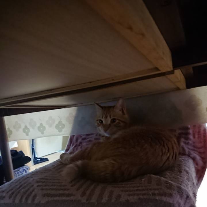 7d5cea4b 77d0 4989 8f31 501339300686 1646344985158