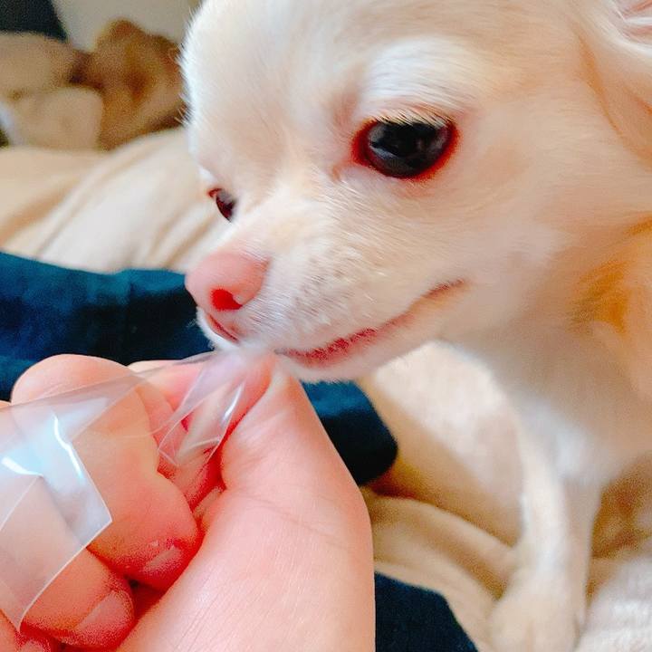 7d5d13d3 39e2 4d61 b37f ffdd70daa610 1622779841965