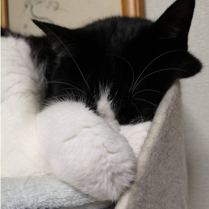 7d5d55c4 a3e4 4a48 bdbb 282e89bfa101 1639795485249