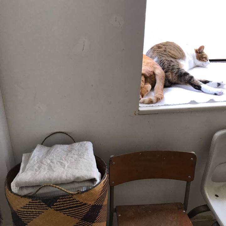 7d5d760d ef13 40ba adcd 9718cfed3359 1558934019656