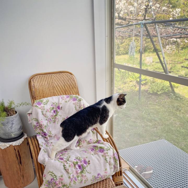 7d5d85e8 bd39 4e22 b28b 300a8ef62391 1617190246124