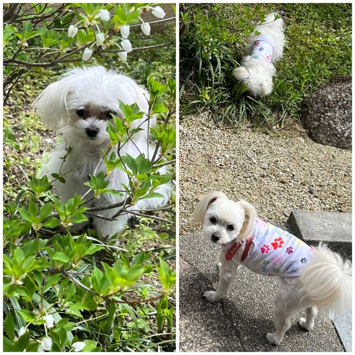 7d5d904a eedc 4121 b6fd acd85bcc54dd 1713156468421