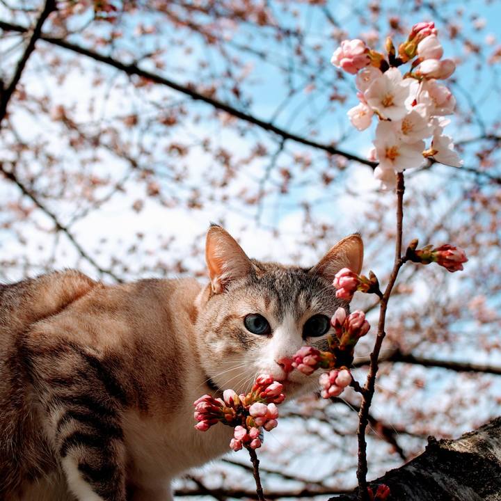 7d5d9051 81b6 4ee7 aaf3 e94fcacb5790 1554680030701