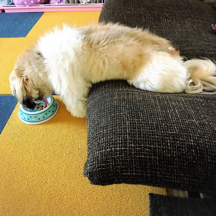 7d5dc1e2 2401 4513 85e3 fa131a148c77 1509033008026