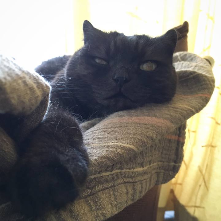 7d5e3bdf eda0 442d b593 6cdf93a58a93 1560814117641