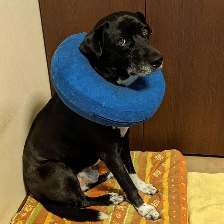 7d5e4e22 30f9 48af 996c 2902130ff2b8 1684590673998