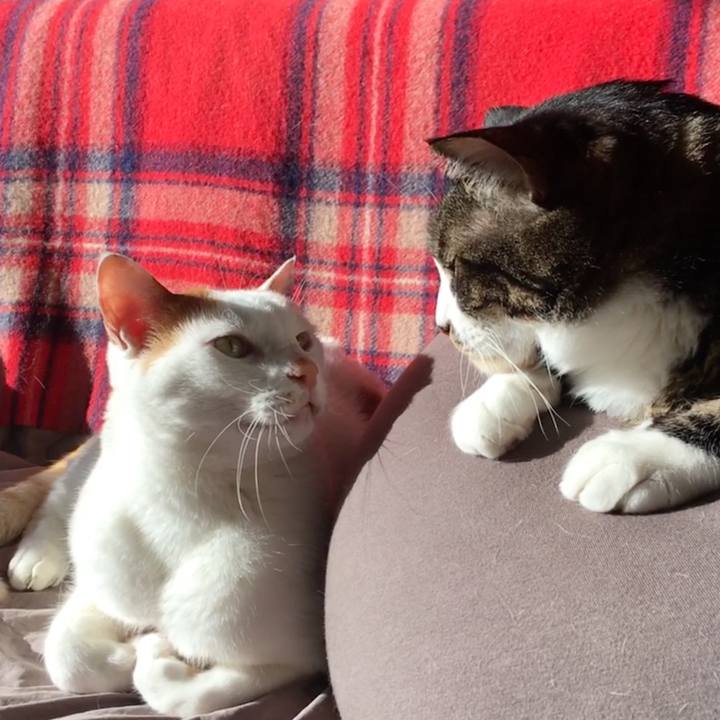 7d5e5325 485f 47e8 a6c7 ba6bf87b9327 1520035771320