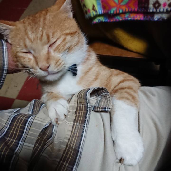 7d5e905b 9991 43c0 a143 708b124ed390 1566936282081