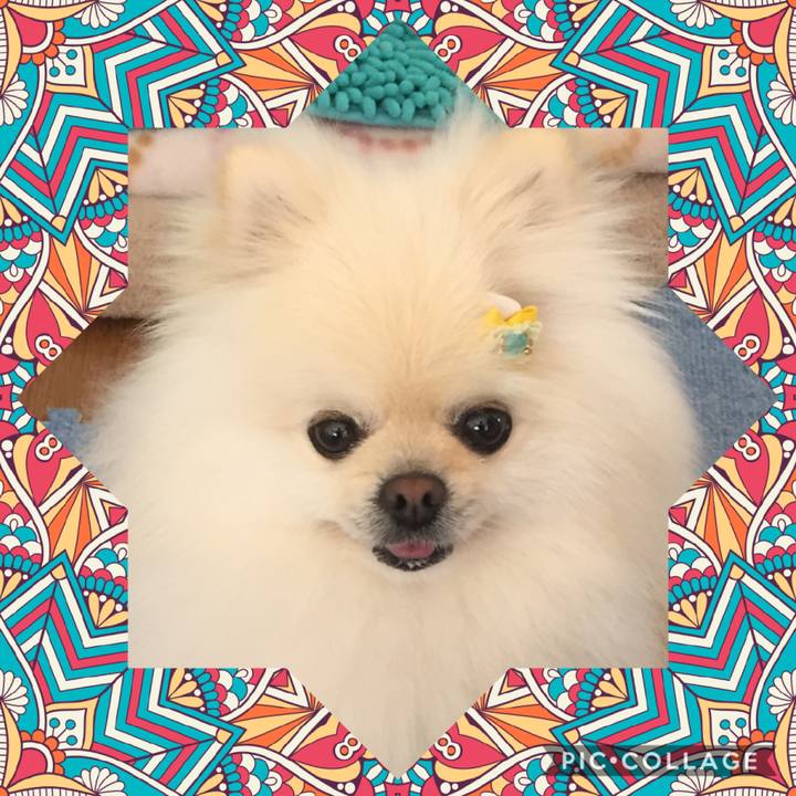 7d5ecd49 c36e 4b2f 850c 3f1a3f0b9ca0 1589245298756