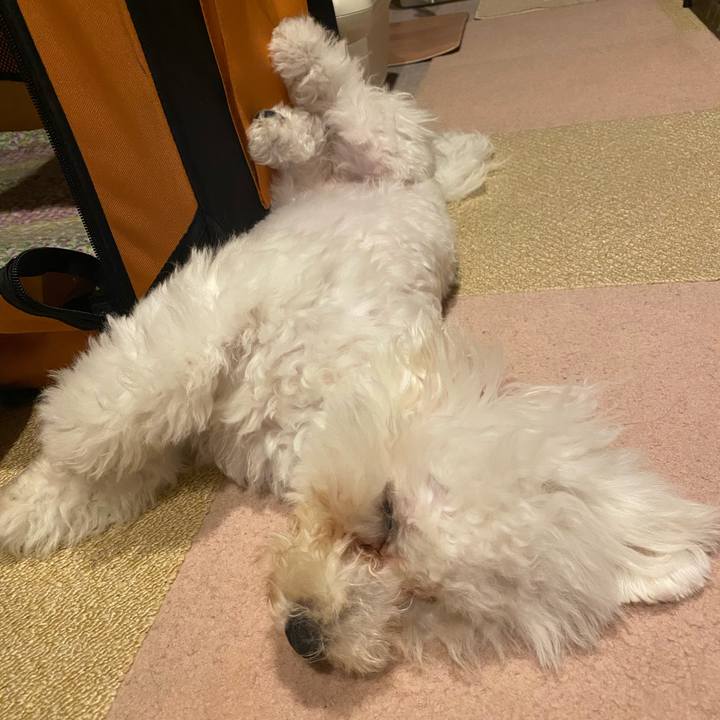 7d5ed911 53d9 4472 8aa8 ff5d3885ebaa 1750076828985