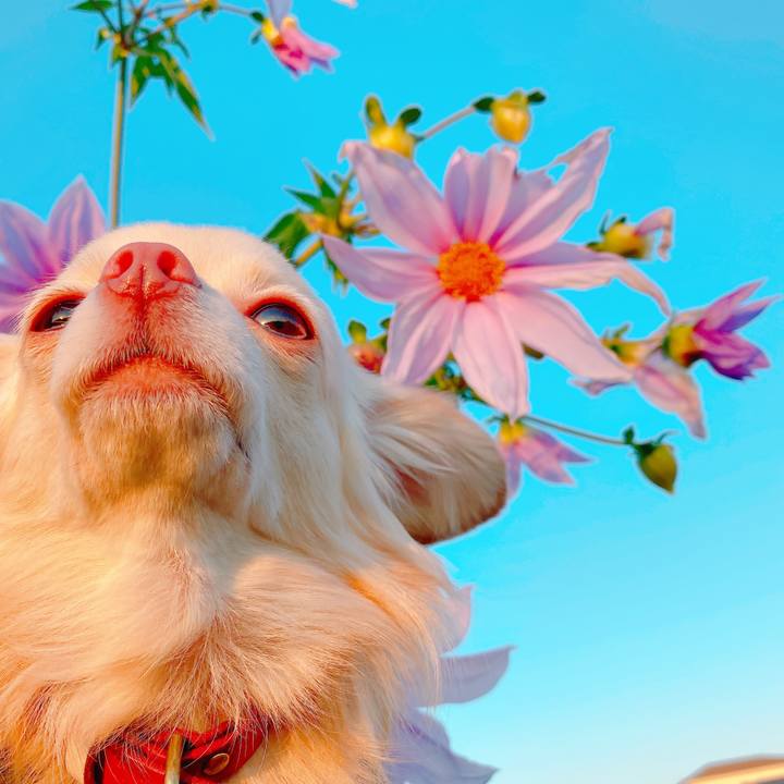 7d5ee3ea 4774 40b0 8aa8 31d6ef89b79e 1637926450647