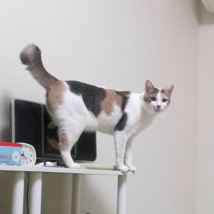 7d5ee57c 0b9b 45f9 a50f 11d9d3cb838f 1540117593878