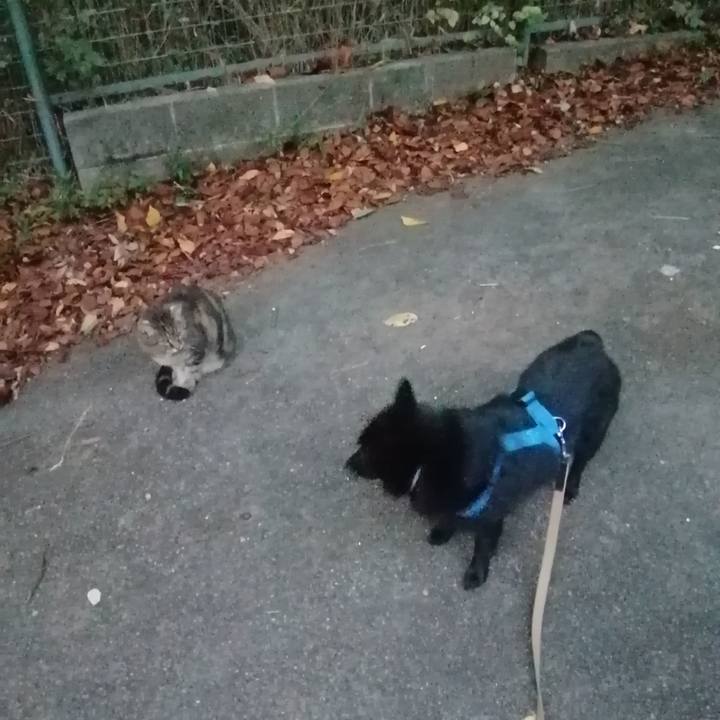 7d5ef4de 678e 42e9 918d d29c215450ed 1634590936538