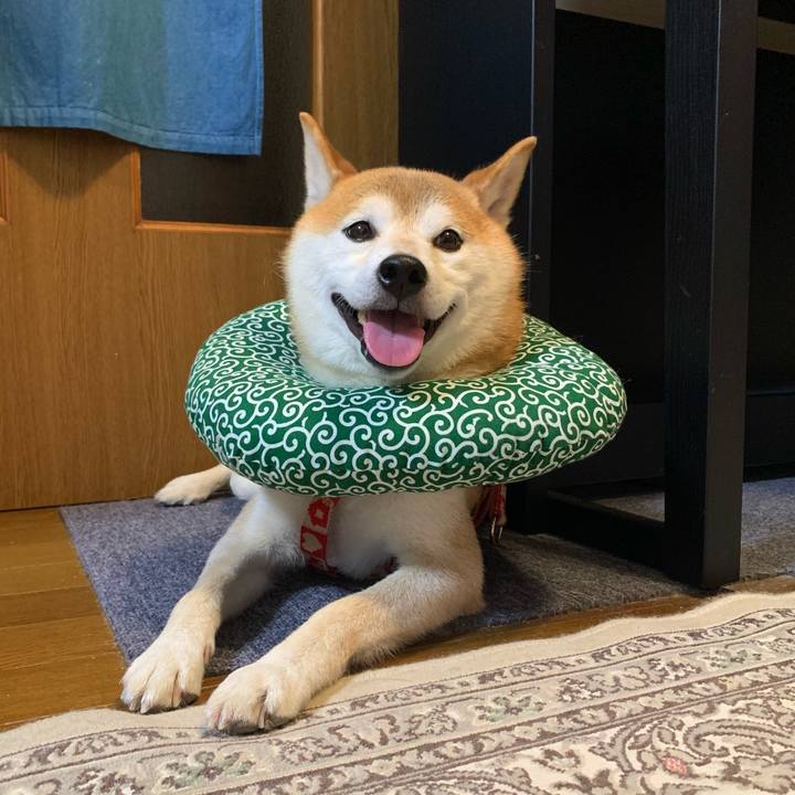 7d5ef9f1 02c0 4686 bd44 ca668ca76542 1634553501753