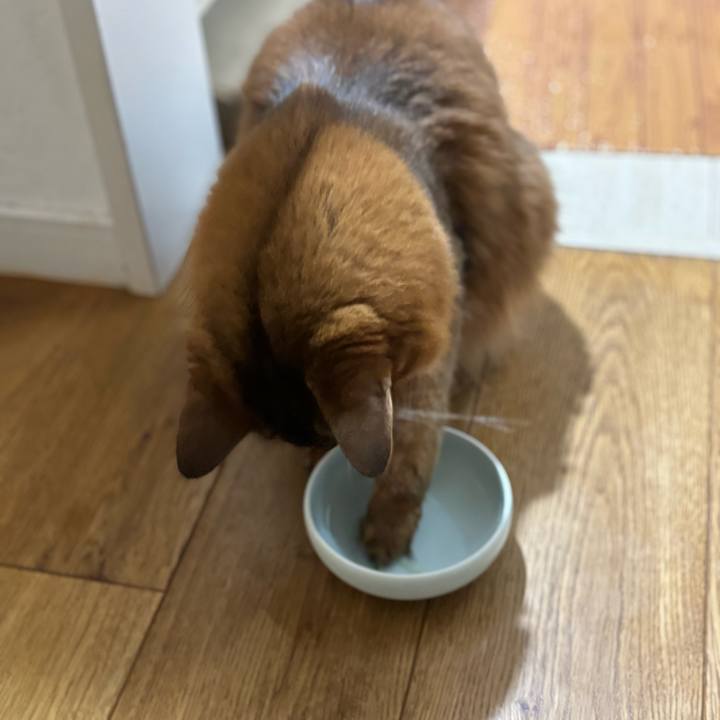 7d5f19d2 d561 4eee 85d3 6c8c880f14a7 1759847400239