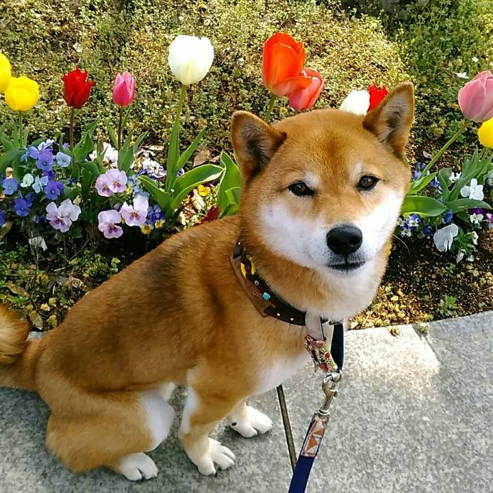 7d5f3a16 3866 4862 8181 d30f523aefbb 1555295667746