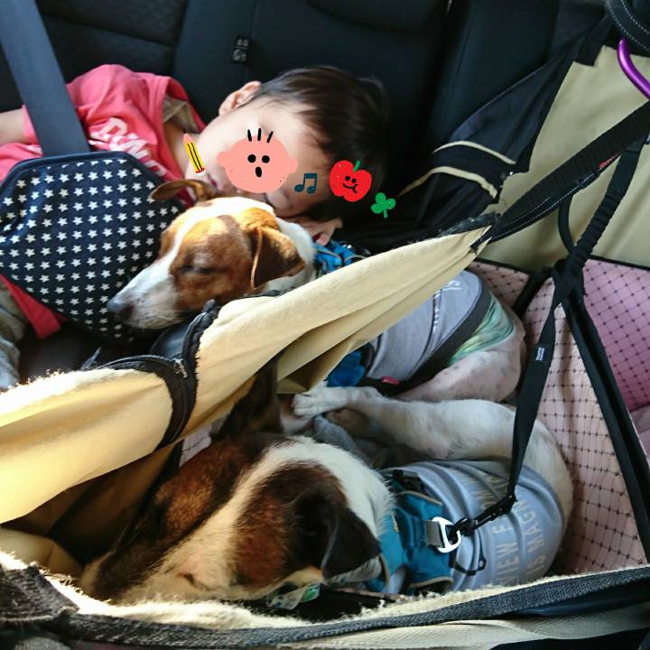 7d5f5ca6 f50c 48cb 9863 55117384dfdd 1565437864451