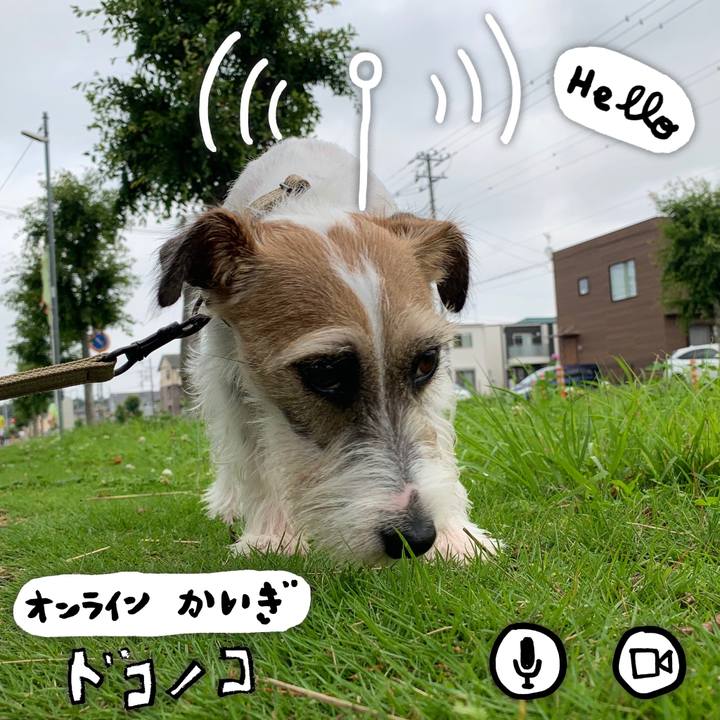 7d5f9163 a228 498d b710 15e53b74b703 1594014816131