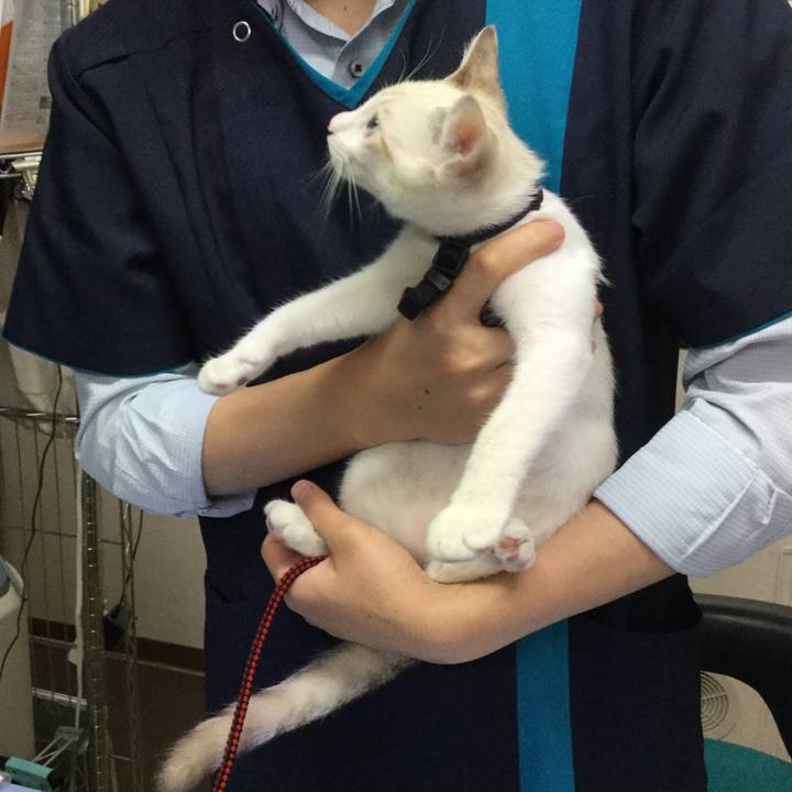 7d5fa4bd 7bc7 4b3b ba0b ee12e0cb77b8 1599890440258