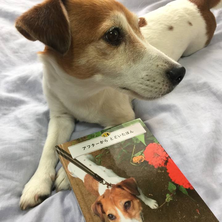 7d6008aa 797e 421c b2bb 73a6cc3e7347 1530946604140