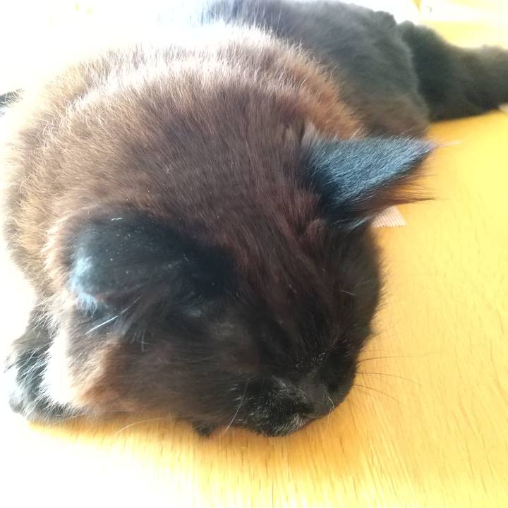 7d6016d1 d0be 4402 bf9e c3d43ff3aab2 1713221076096