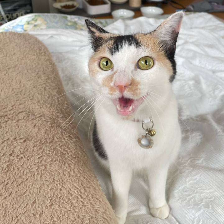 7d602287 a948 4f5c ac4b d5ab5043ce43 1688711399322