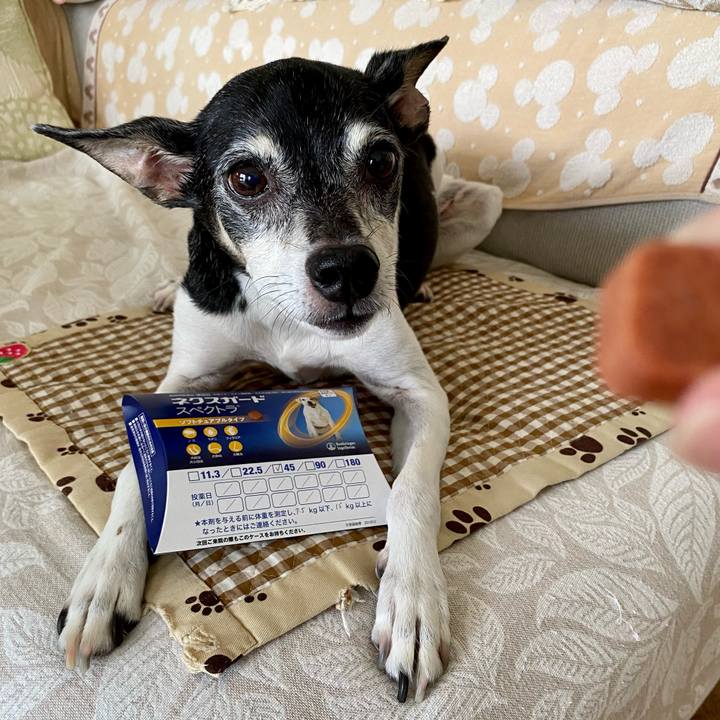 7d602661 abf0 4f91 99c7 ec3eb68cc9a7 1626303880794