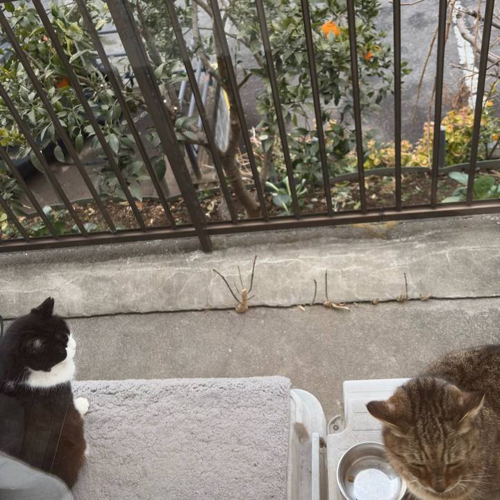 7d6038e8 2d1d 4a37 baf5 40a43c243b1c 1770891418687