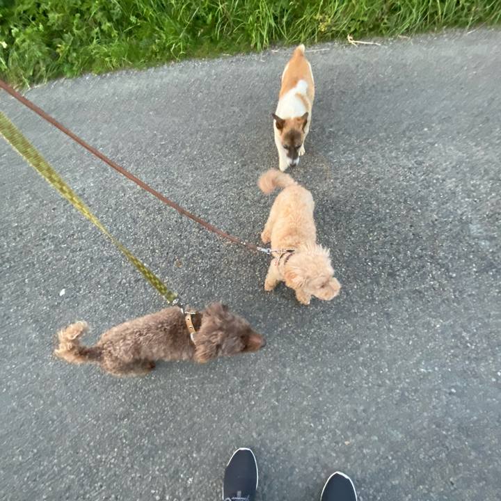 7d607297 3e73 4fd2 b7e1 7abbe663dbf5 1626731055252