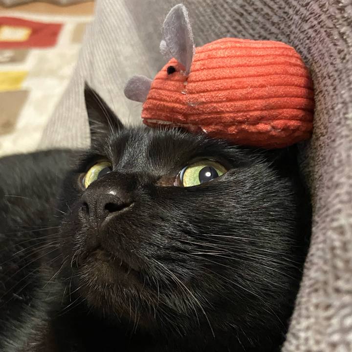 7d60d953 d6c3 47ea 97f9 5e8b047de069 1650541681763