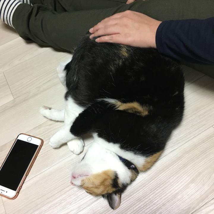 7d60f181 fc67 469c b495 962f219eb90d 1511957929344