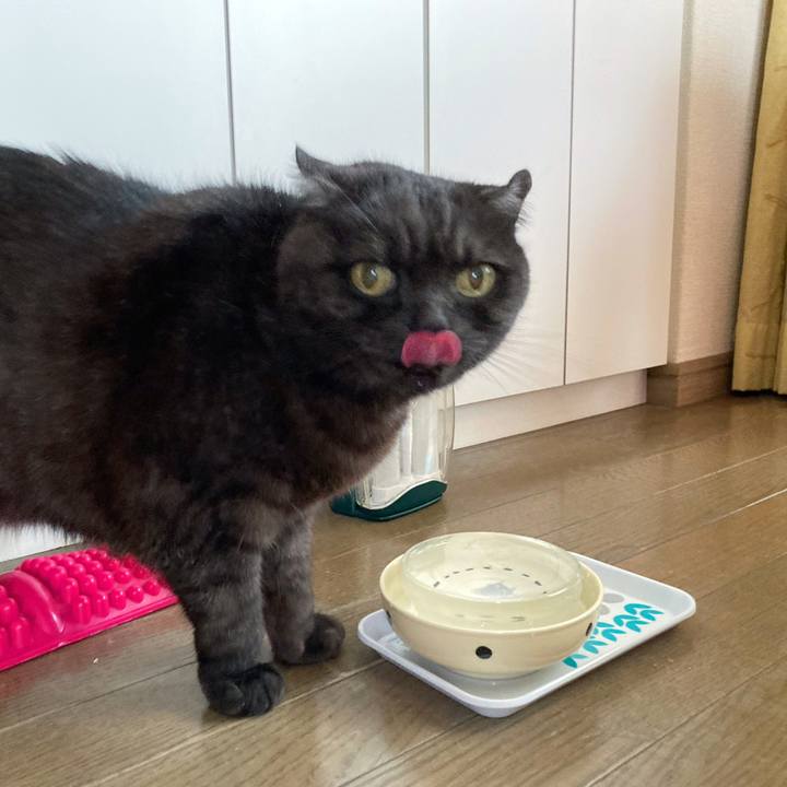 7d6102c2 0d6c 4681 a847 9d29f9b851d8 1590025683419