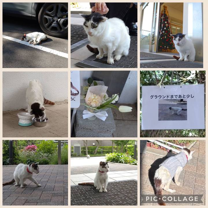 7d61885c 9d98 422a 9208 8067654005ae 1769493561987