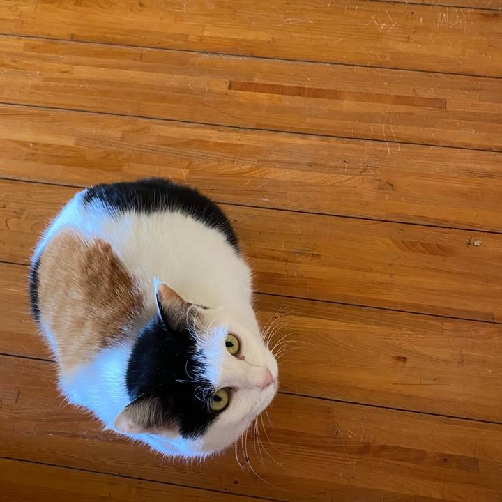 7d61a3d5 7ec2 4a5b a8b3 8d93c5c48fd9 1648981493209