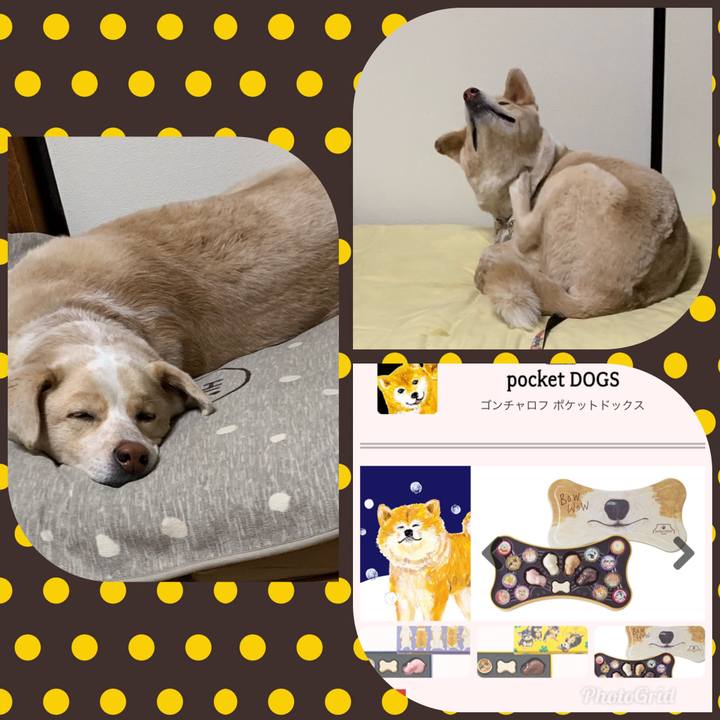 7d61cbeb 8add 401a b68e 9428fc6ec1c9 1548418457269