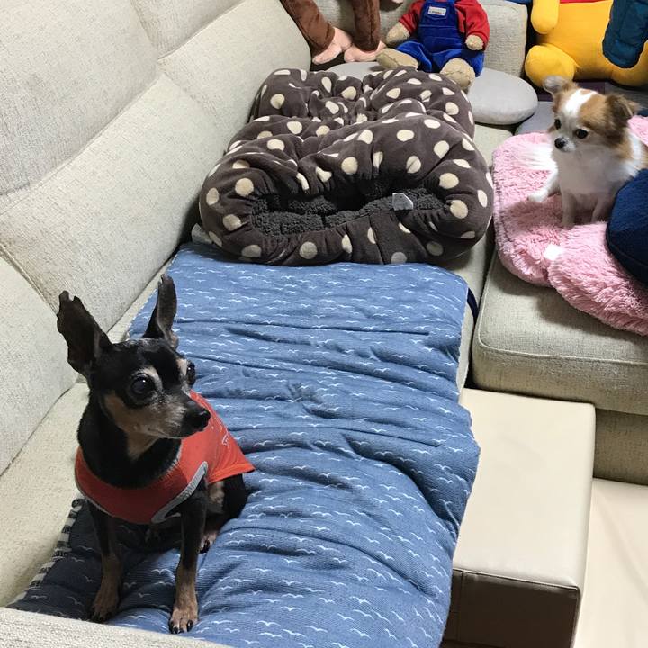 7d61de65 bb99 474b 97ef b9f0b0a5fb28 1518261020645