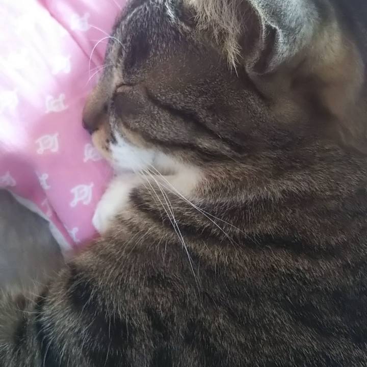 7d6288d6 be7f 49b1 a188 06dfc8a21a96 1615265243773