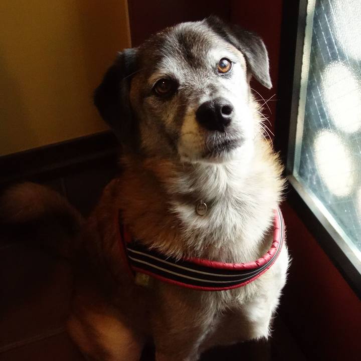 7d62b0e3 5c11 4743 ba5c 86ac46d3235c 1574038787428